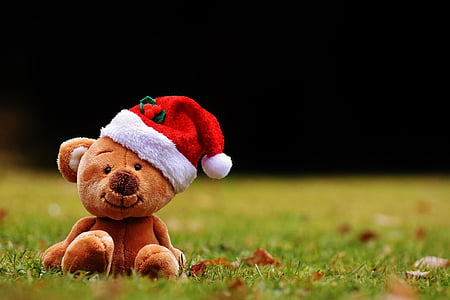 Natal, peluche, brinquedo macio, chapéu de Papai Noel, engraçado, grama, sem pessoas