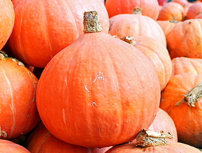 тыквы, Хоккайдо, Осень, Октябрь, урожай, овощи, оранжевый