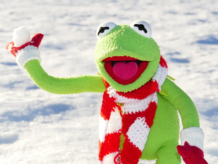 kermit, frog, snow ball, throw, snow, winter, cold