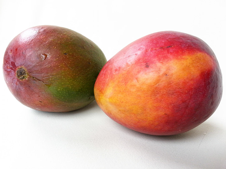 Mango, puu, eksootiline, Tropical, värske, toidu, mahlane