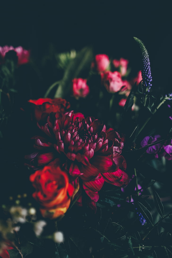 фиолетовый, красный, искусственные, цветок, украшения, Блум, Ботанический