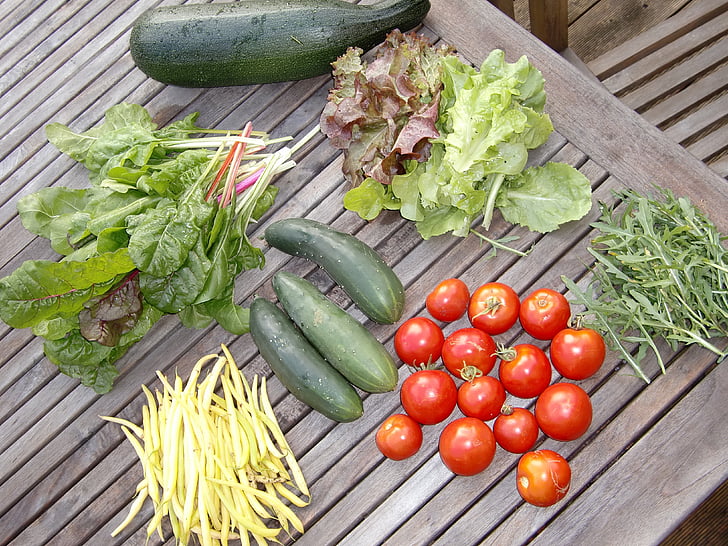 vegetables, garden, frisch, food, harvest