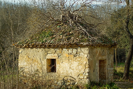 Ruin, maison, pour toiture, carreaux