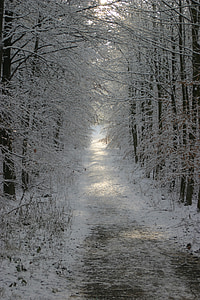 inverno, neve, invernale, luce posteriore