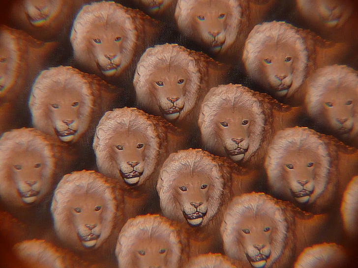 lõvi, Kaleidoskoop, Art