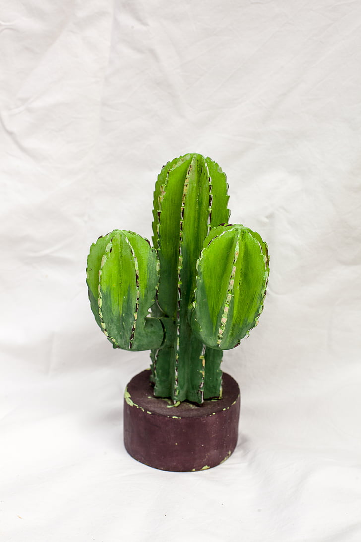 Cactus, cactussen, natuur, groen, Thorn, naald, stekelig