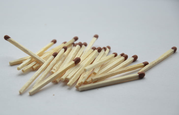 matches, tree, match, subject survey, sticks, wood, matchstick