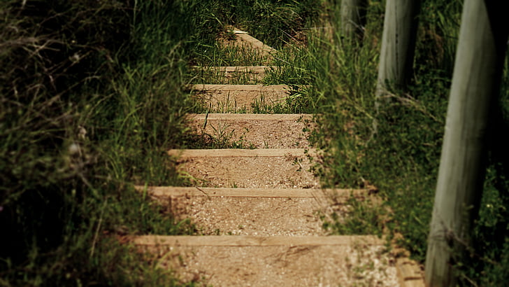 kroki, schody, trawa, chodnik, Natura, pieszo, osoba