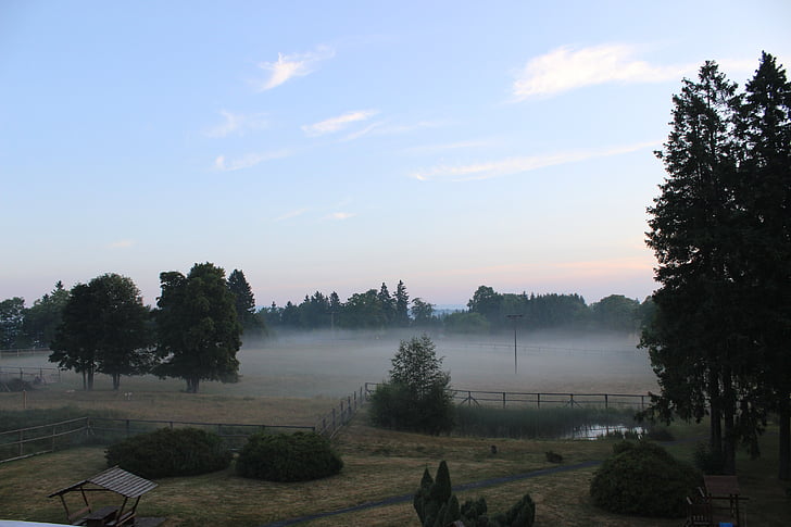 fog, morning, sky, nature, trees
