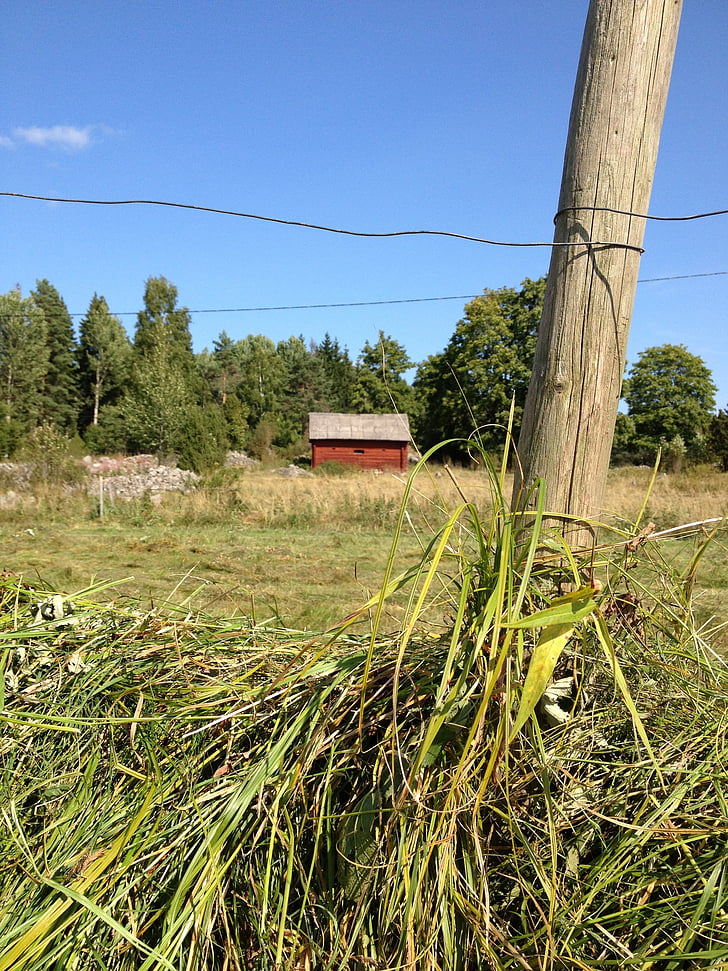 hässjning, drying rack, hay, agriculture, culture, red cottage, barn