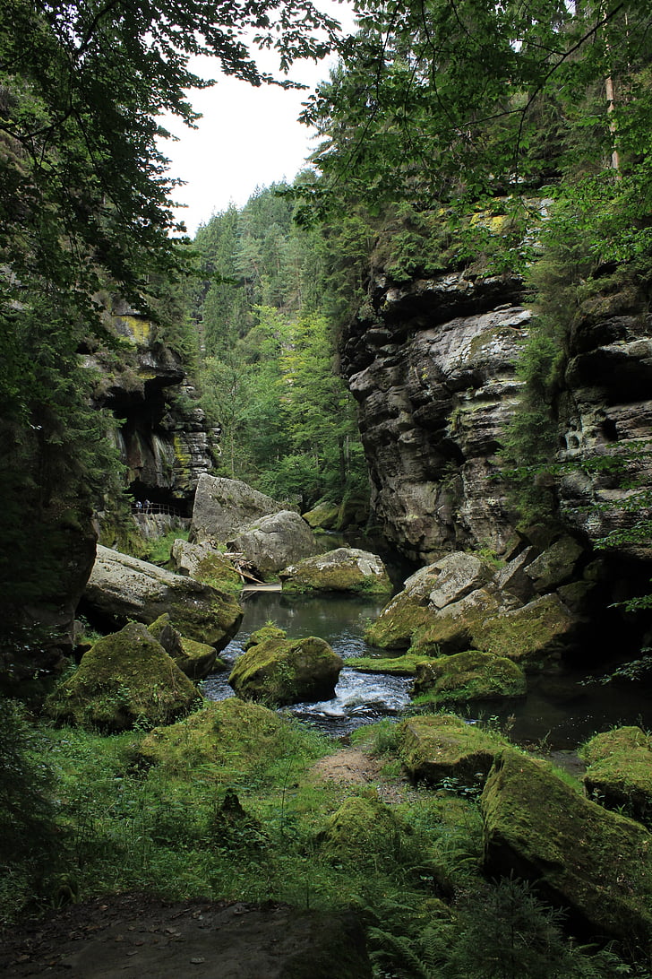 Hřensko, βράχια, Τσέχικη Ελβετία, Ποταμός, φαράγγια, νερό, πέτρα