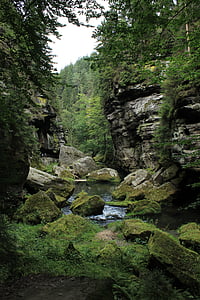 напрямку Hřensko, гірські породи, Чеська Швейцарія, Річка, ущелини, води, камінь