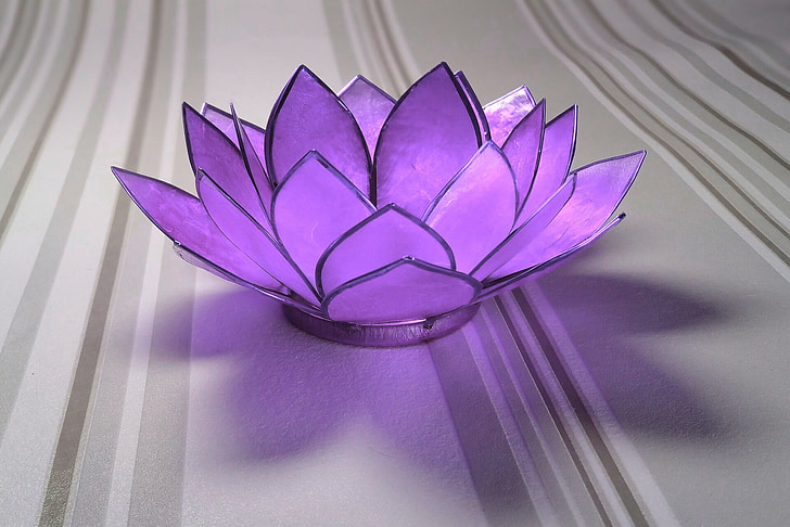 water lily, glass, purple, decoration