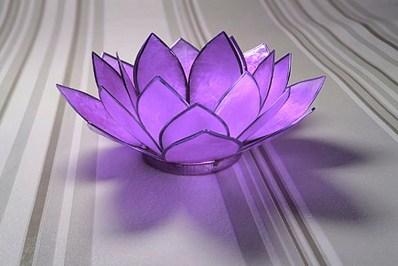 lily air, kaca, ungu, dekorasi