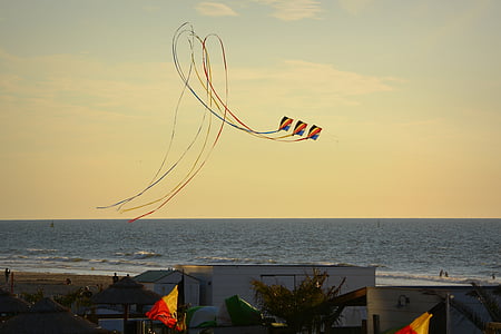 Vind kite, blå himmel, luft, skyer, havet, Beach, looping
