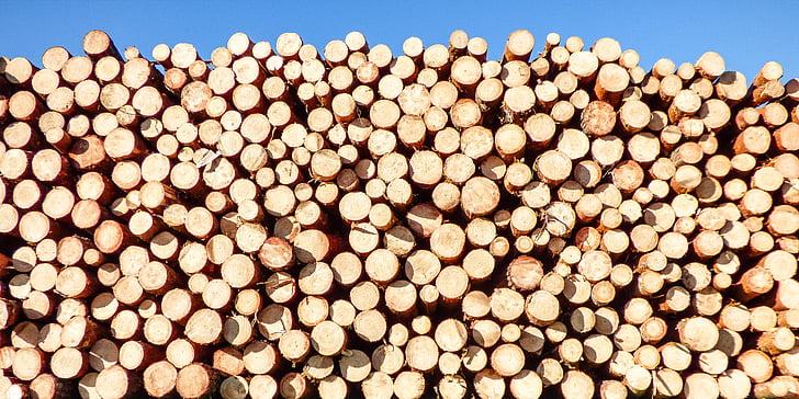 background, woodpile, wood, logs, cut, nature, timber