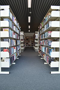 books, library, read, bookmarks, bookshelf, symmetry