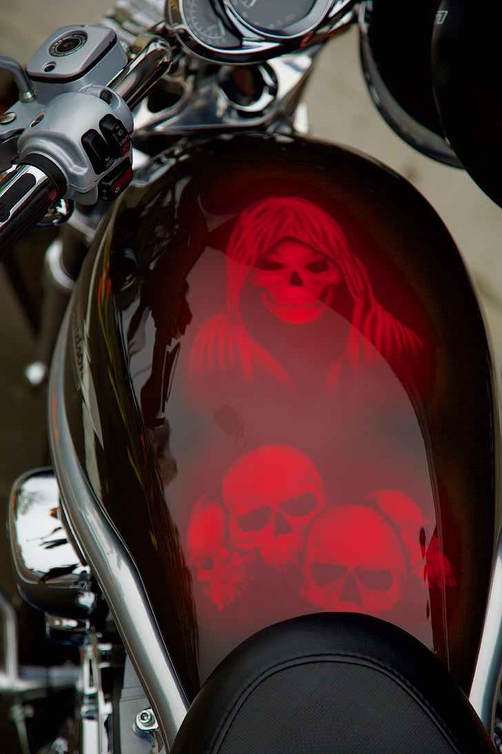 grafic, motocicleta, Harley davidson