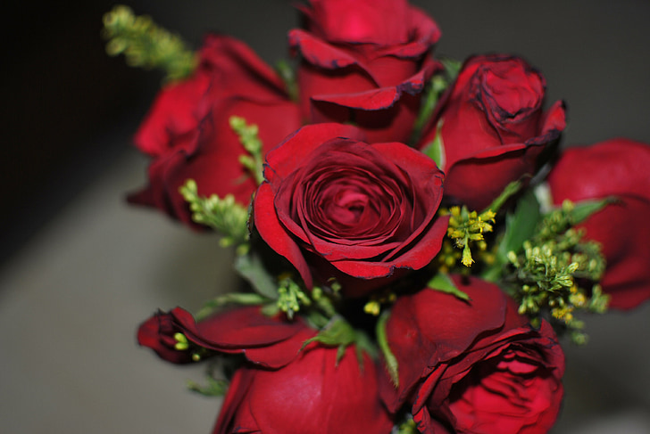 Rose, fleur, rouge, vert, amour, décoration, bouquet