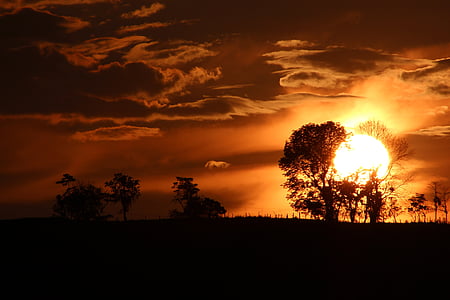 zachód słońca, dramatyczne, pomarańczowe niebo, drzewo silhouetts, Risaralda, Santa rosa de cabal, noc