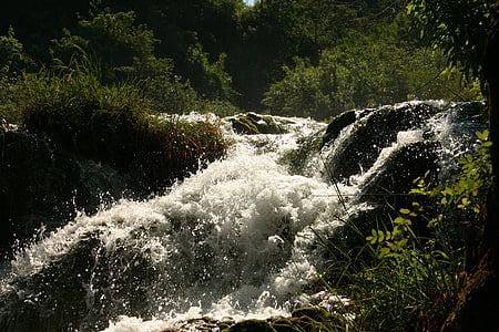 rapids, water, clear, wild, flow, nature, river