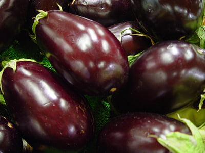 äggplanta, Äggplanta aubergine, Solanum melongena, rå, färsk, Brinjal, melongene