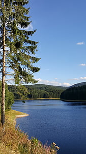 lake, fir, water, reservoir, forest, nature, landscape