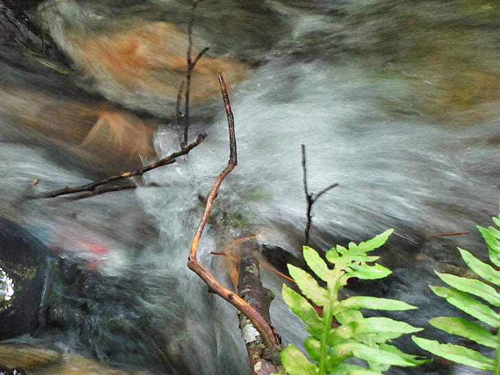Creek, agua, que fluye, corriente, naturaleza, desenfoque de