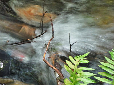 creek, water, flowing, stream, nature, blur