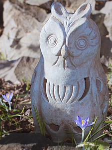 sứ, đóng, mùa xuân, tác phẩm điêu khắc, Owl