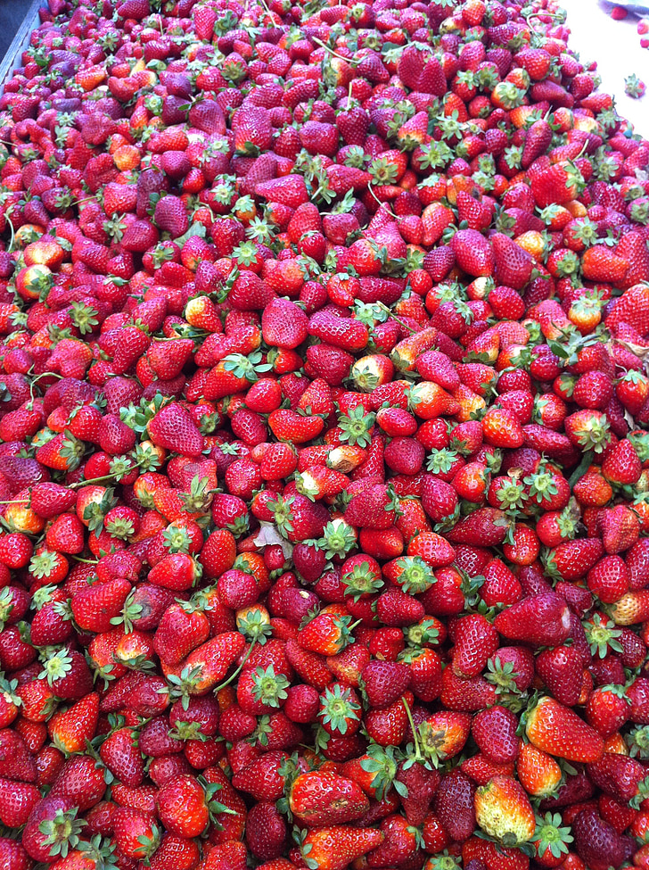 strawberry, food, fresh, pile of strawberries, strawberries, harvest, farm