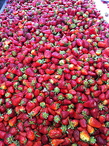 aardbei, voedsel, vers, Stapel aardbeien, aardbeien, oogst, boerderij