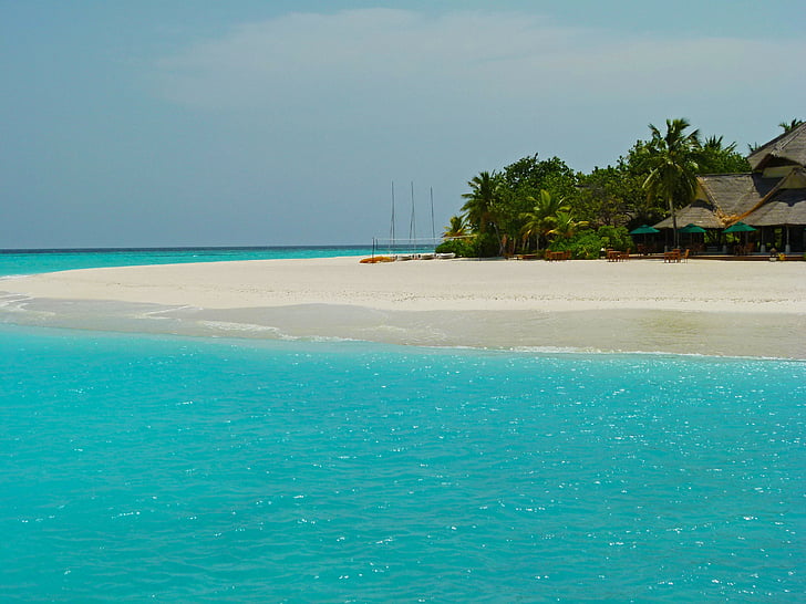 Maldivi, oceana, more, Otok, lijepa, naselje, plaža