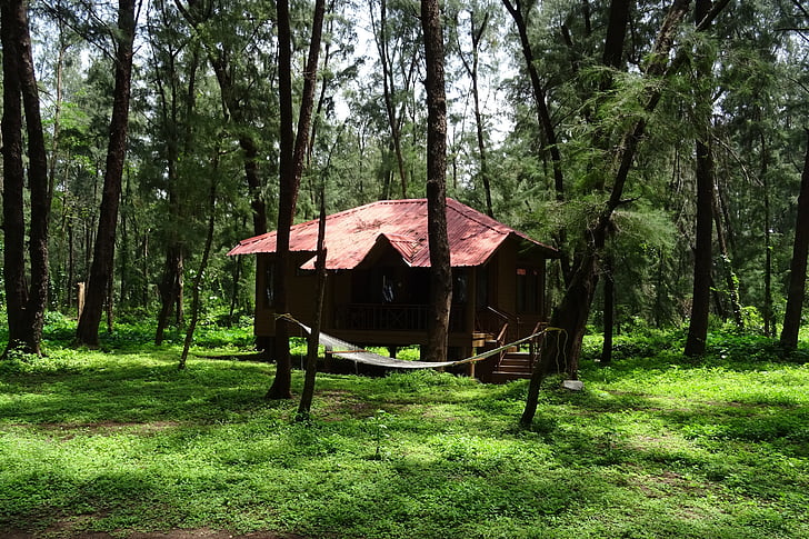 Cottage, holday huis, hut, houten, bos, Lodge, recreatie