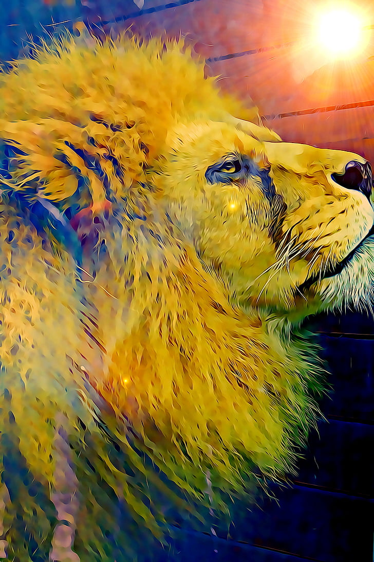 Digital, Grafiken, Löwe, Mähne, ist gerade, König der Tiere, Tier