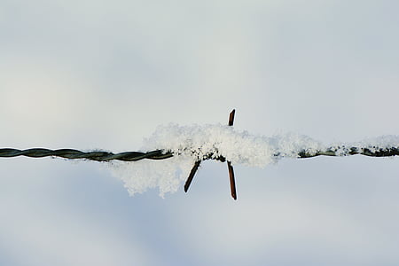 snow, barbed wire, snowy, winter, wintry, prickly, cold
