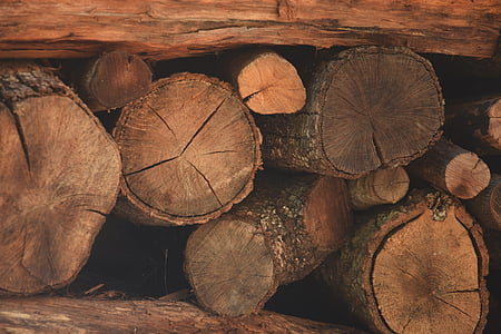 dřevo, Zimní, podzim, léto, jaro, palivové dříví, textura