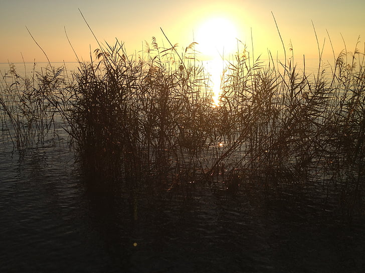 Sunset, søen, Gardasøen, solnedgange, landskab, natur, Italien