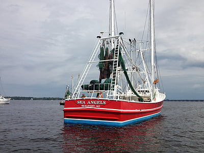 gambes, New bern, Carolina del nord, pescador, vaixell nàutica, Mar, transport