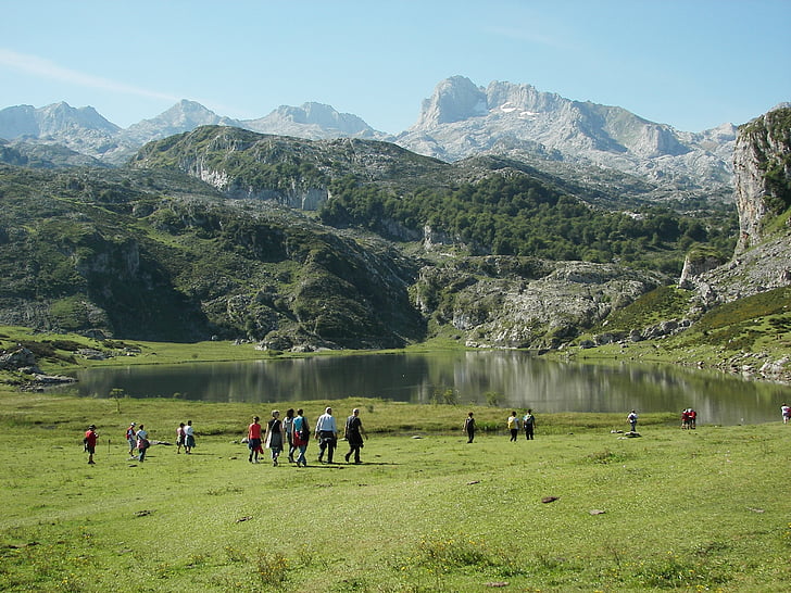 Asturias, sjön, vatten, naturen, grön, Spanien, bergen