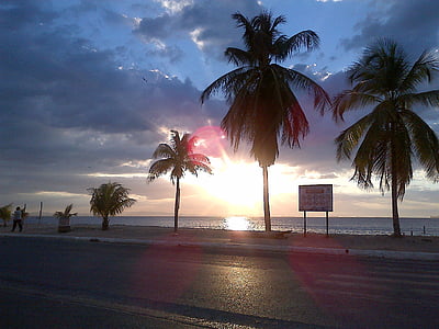 Palms, Pantai, matahari terbenam, pemandangan, pohon palem, laut, iklim tropis