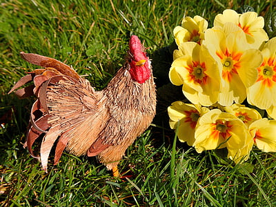 кокошка, Иглика, Ръш, жълто, цвете, Пролет, ливада
