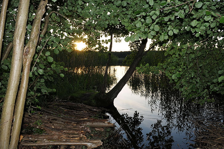호수, 일몰, mecklenburgische seenplatte, 독일, mecklenburg 서쪽 pomerania, 물, 자연