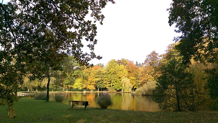 herfst, Park, Oost-Friesland