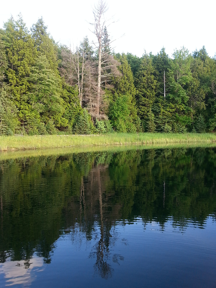 Lacul, reflecţie, mal, peisaj, natura, pitoresc, frumos