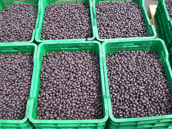 oliven, sort, marked, marked stall, drupes