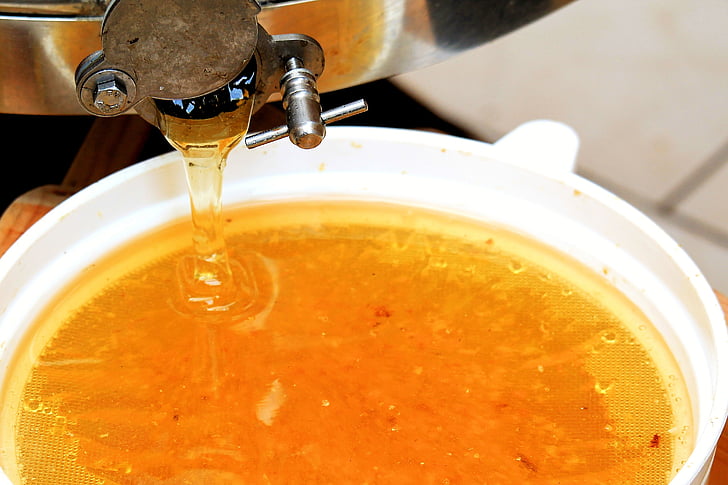 extracteurs de miel, miel, Sweet, délicieux, peignes, alimentaire