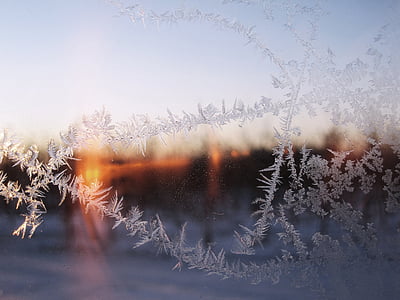 winter, sneeuw, Frost, komst, Kerst, Nieuwjaar, koude