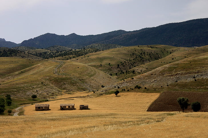 natura, muntanya, estepa, Şırnak ta, paisatge, fons