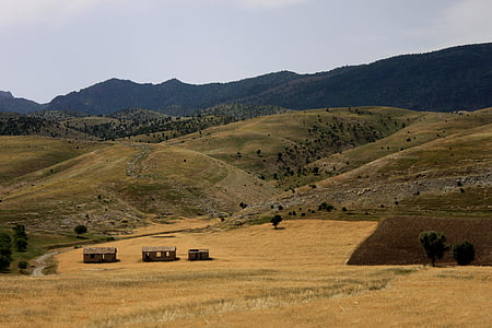 természet, hegyi, sztyepp, Şırnak, táj, háttér